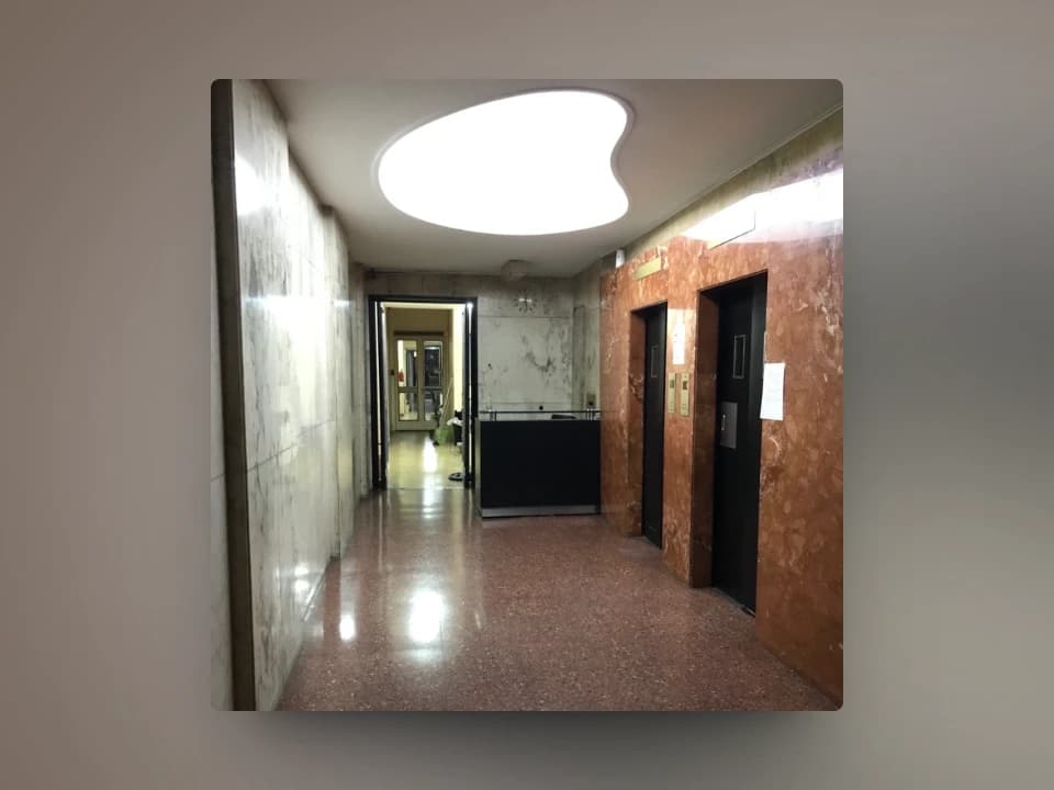 Linear app interface showing data visualization